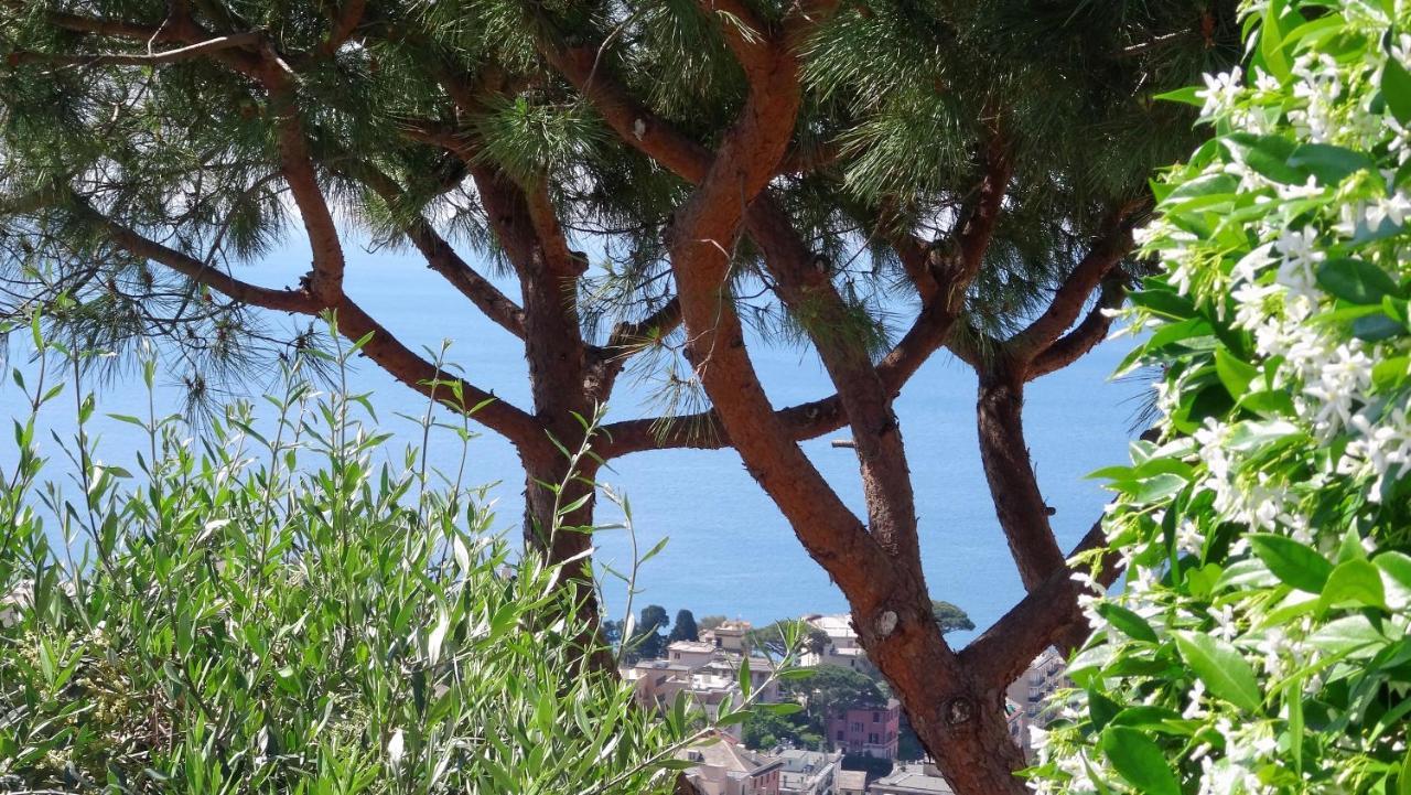 La Casa Dei Limoni Bed & Breakfast Genova Eksteriør bilde